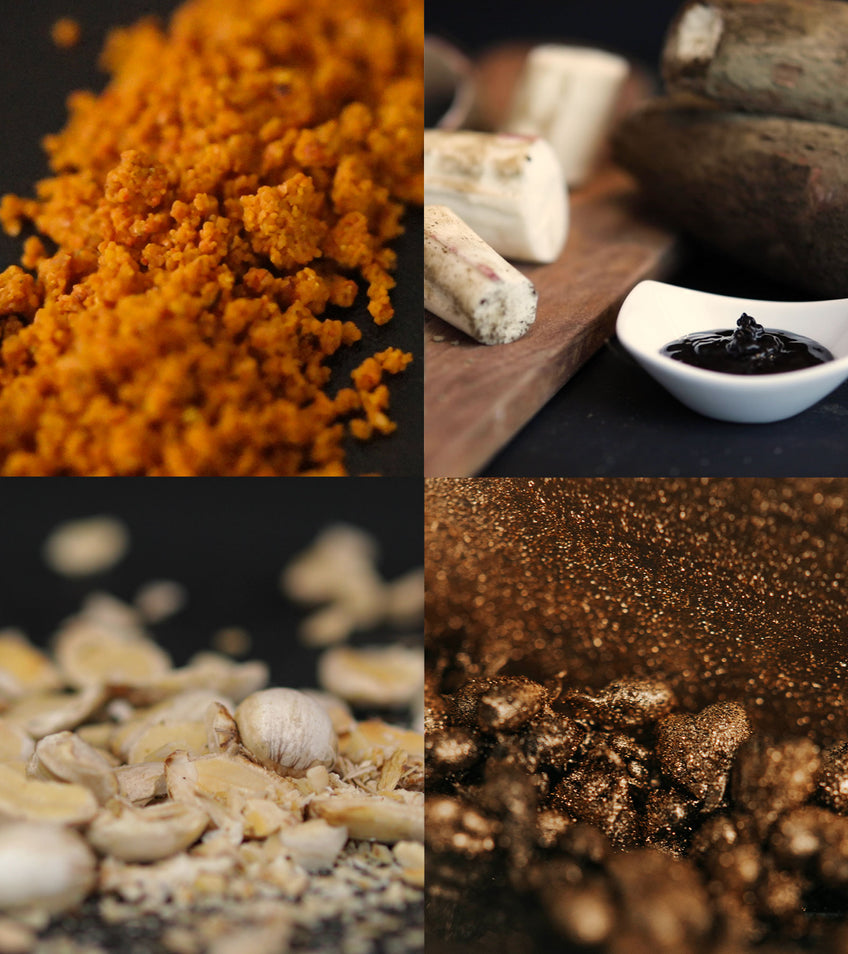Alchemy Collection 8-pack – To'ak Chocolate