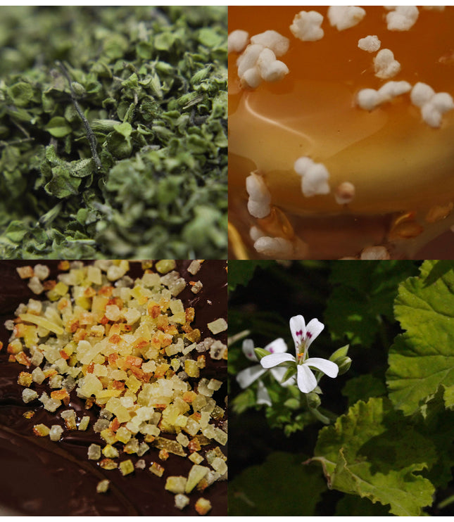 Alchemy Collection 8-Pack