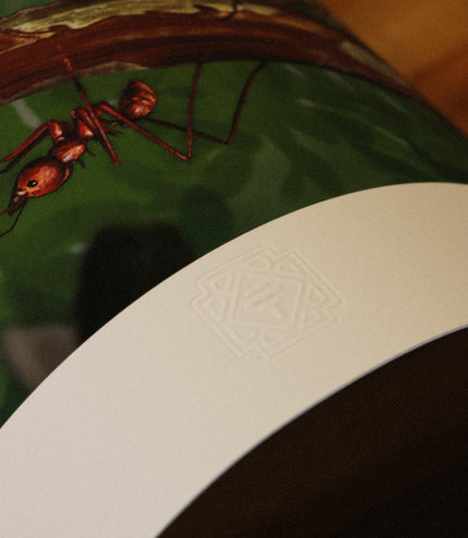 Fine Art Print - Amazonian Ants