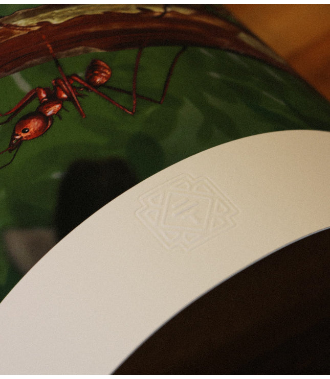 Fine Art Print - Amazonian Ants