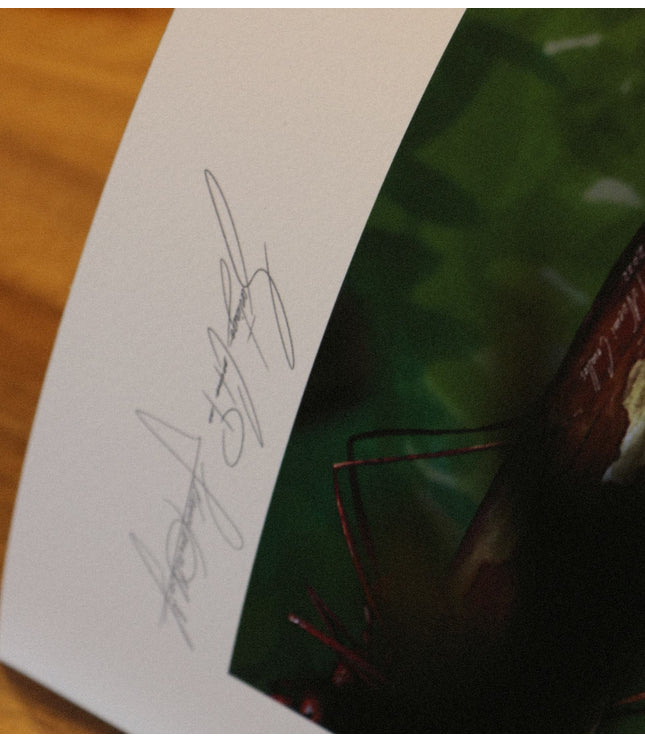 Fine Art Print - Amazonian Ants