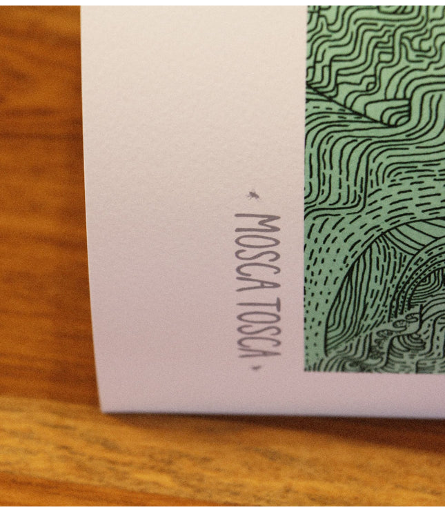 Fine Art Print - Andean Mints