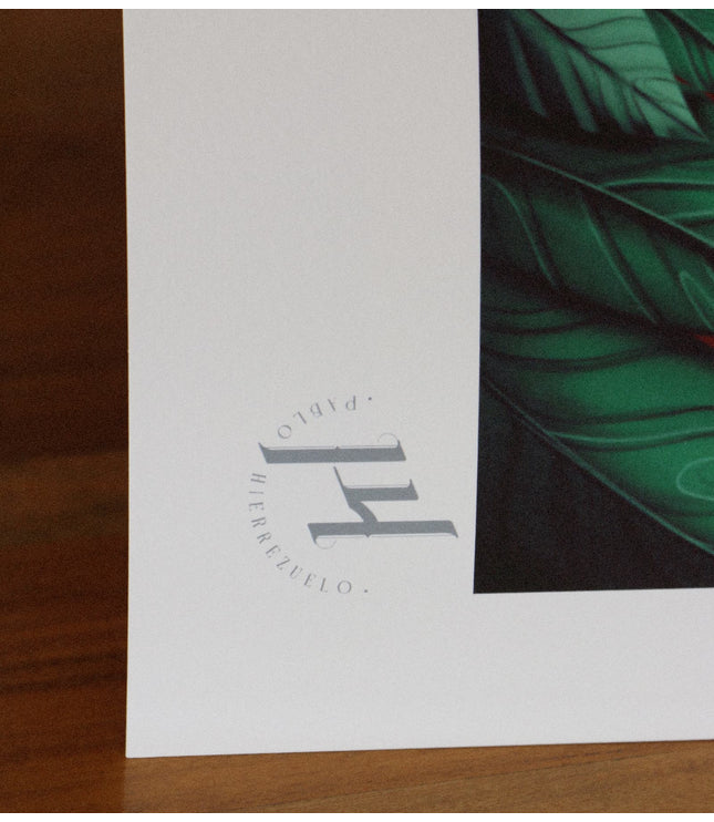 Fine Art Print - Saprieta Peanuts