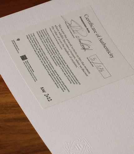 Fine Art Print - Amazonian Ants