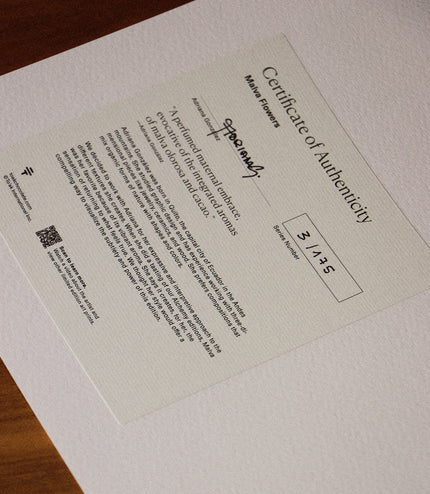 Fine Art Print - Malva Flowers