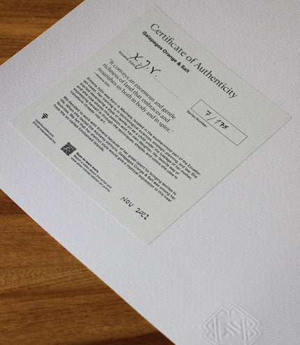 Fine Art Print - Galapagos Orange & Salt